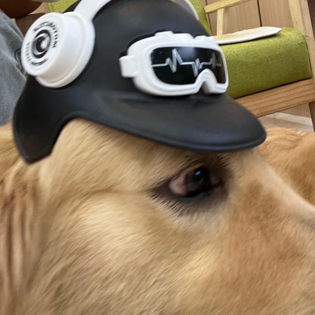 多肉生活宠物生活馆