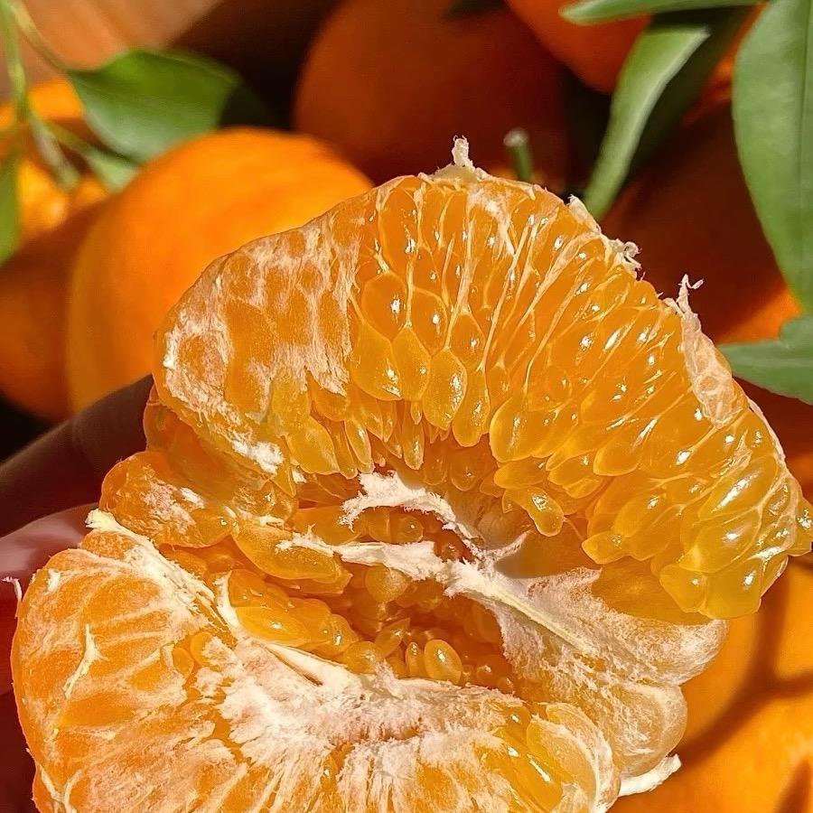 阿雄果业