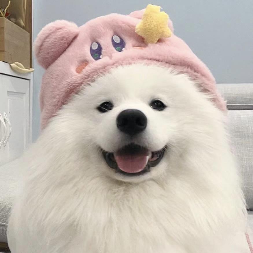 大铭哥优选