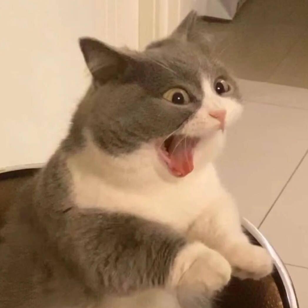 树上有只猪
