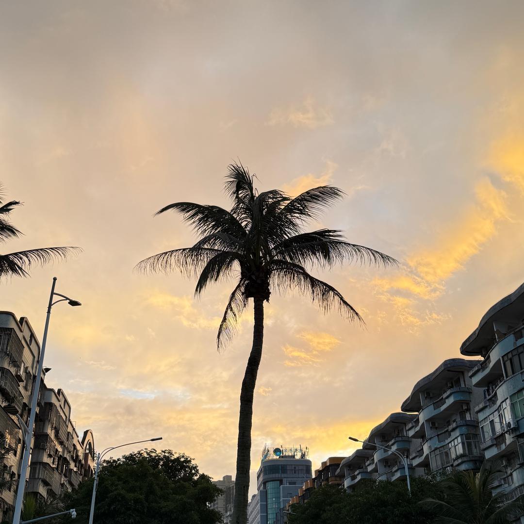 小小鱼