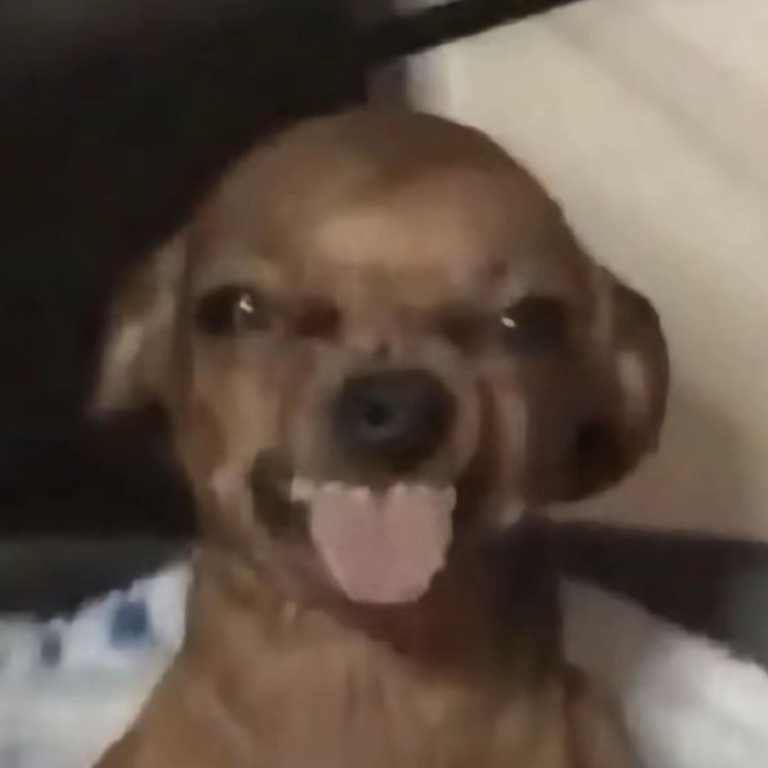 素质教育漏网之鱼