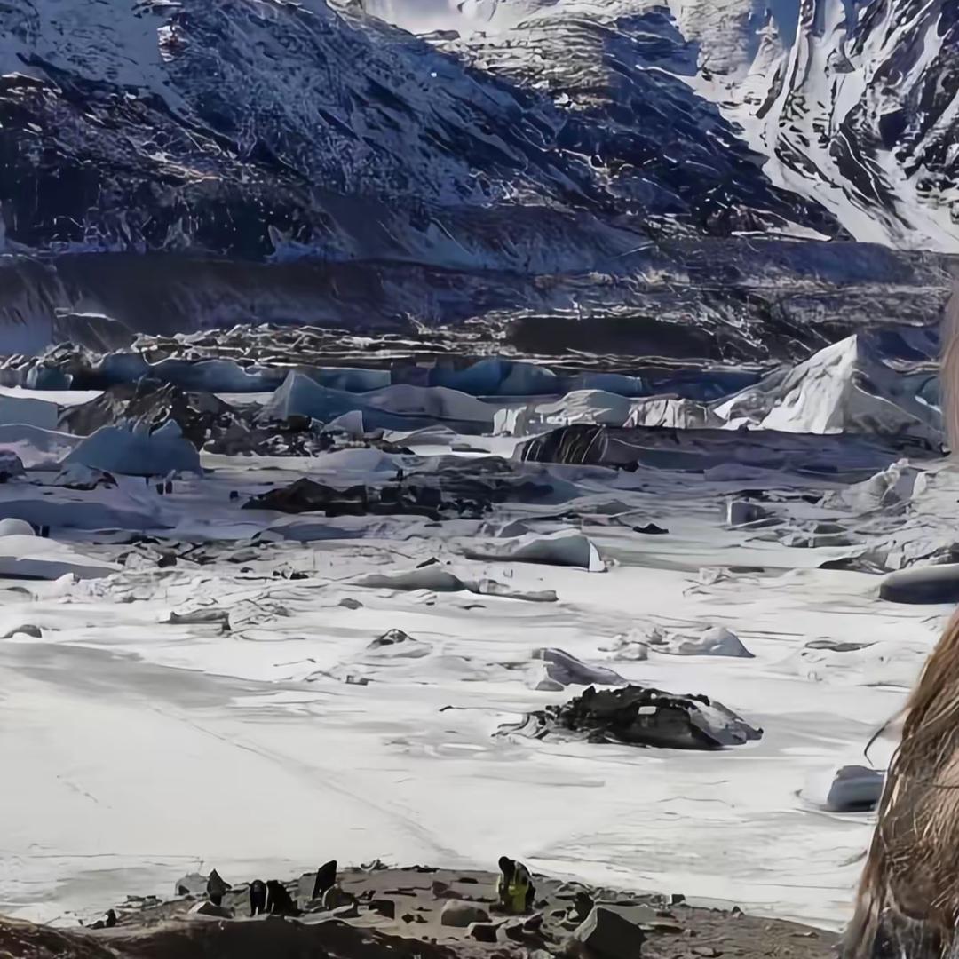 楠楠潮流服饰铺子