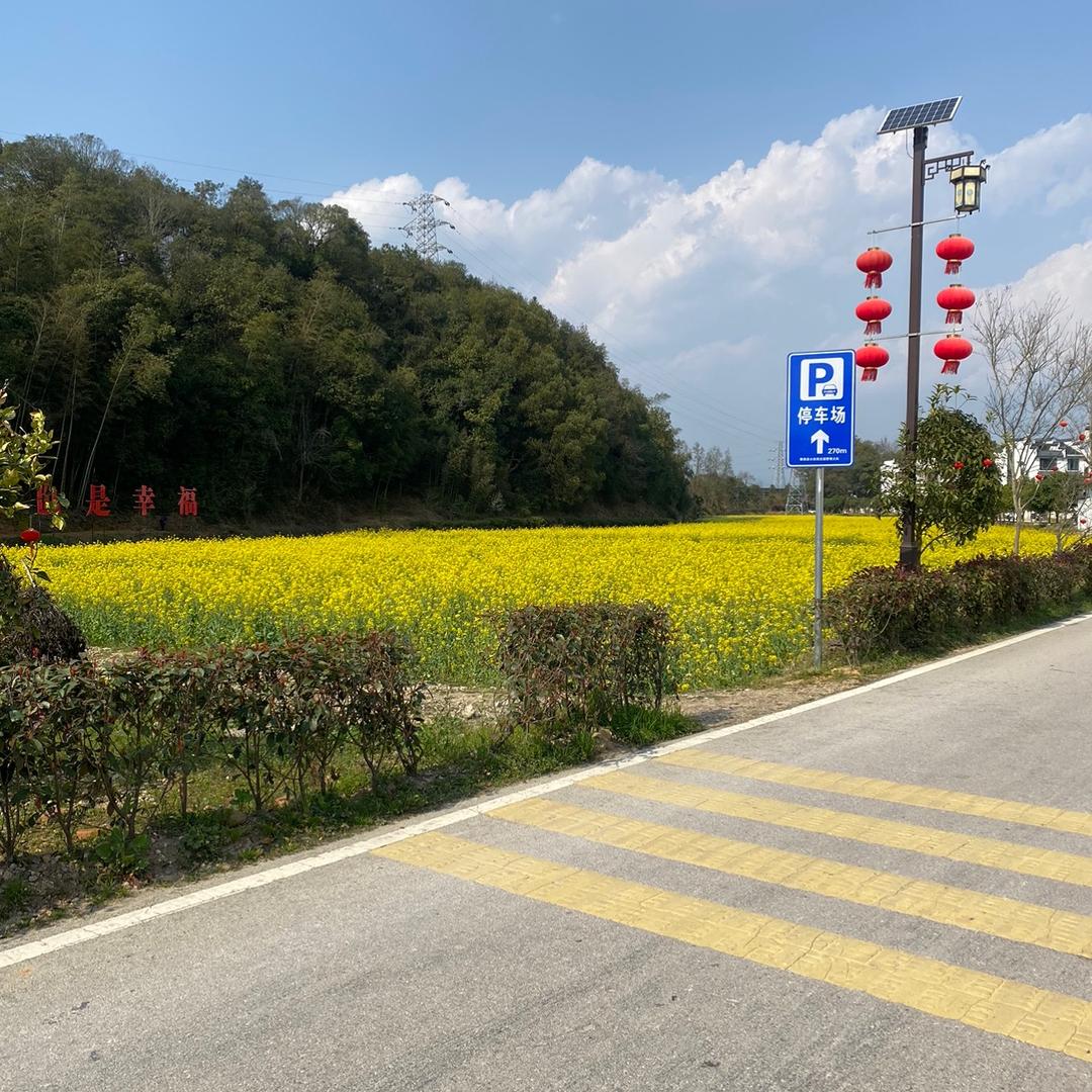 北方暖阳