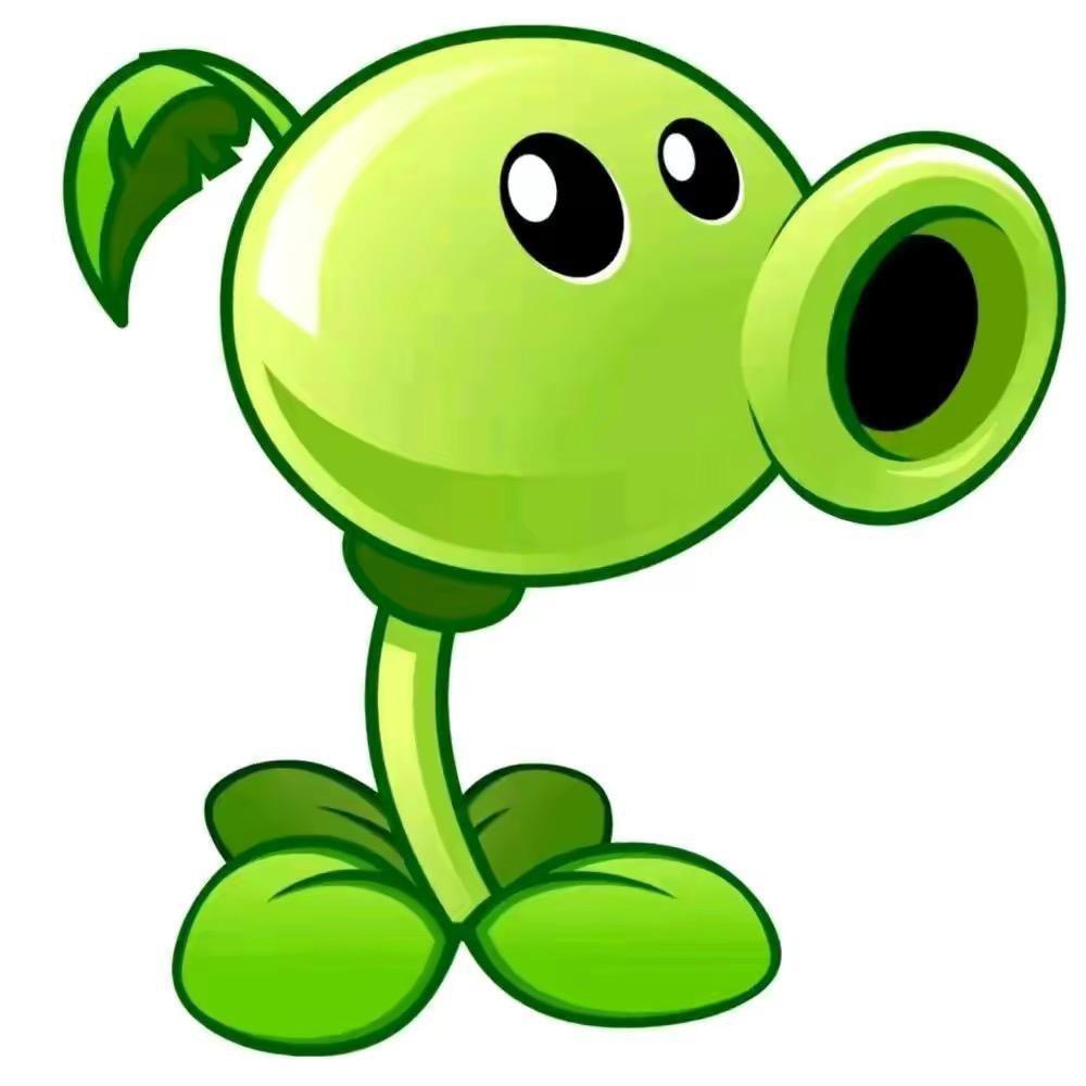 🟢🟢🟢🟢🟢🟢🟢🟢🟢