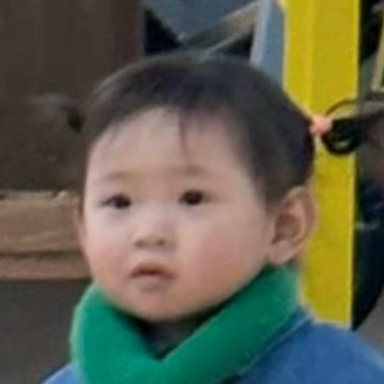 小鱼今天不吃饭