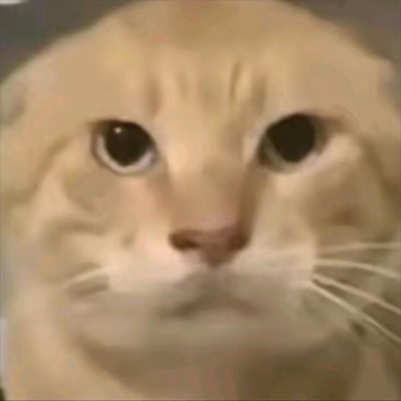 顶针