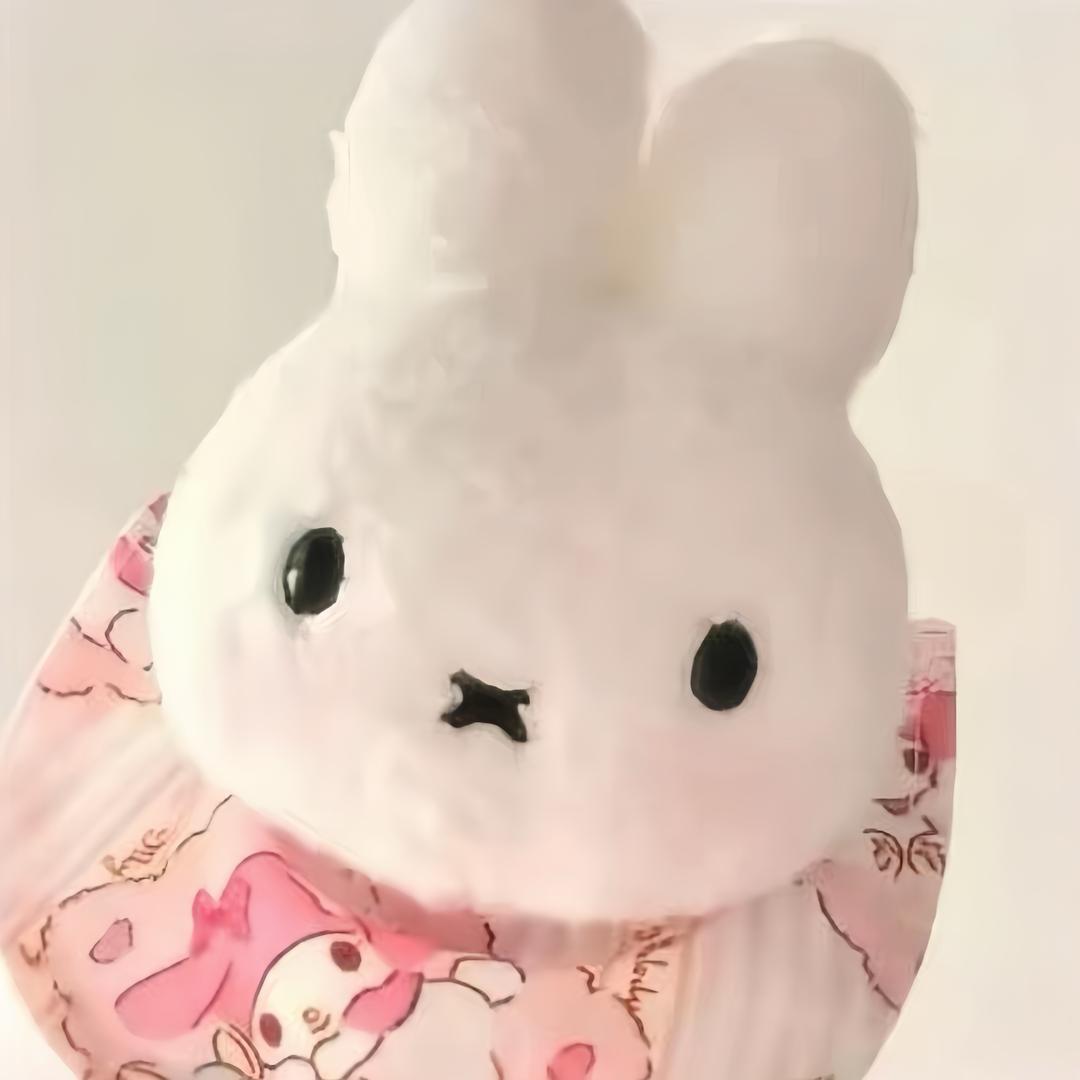 ㅤㅤㅤㅤㅤㅤㅤzz