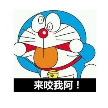 聪哥