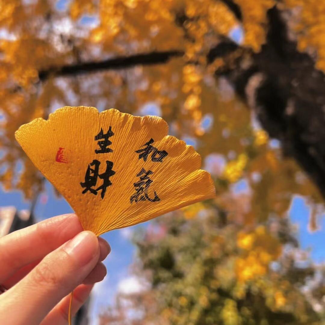 逻辑思维