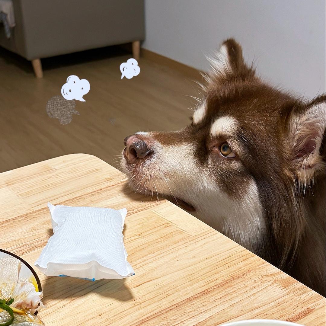 卡卡爱薯薯🍠