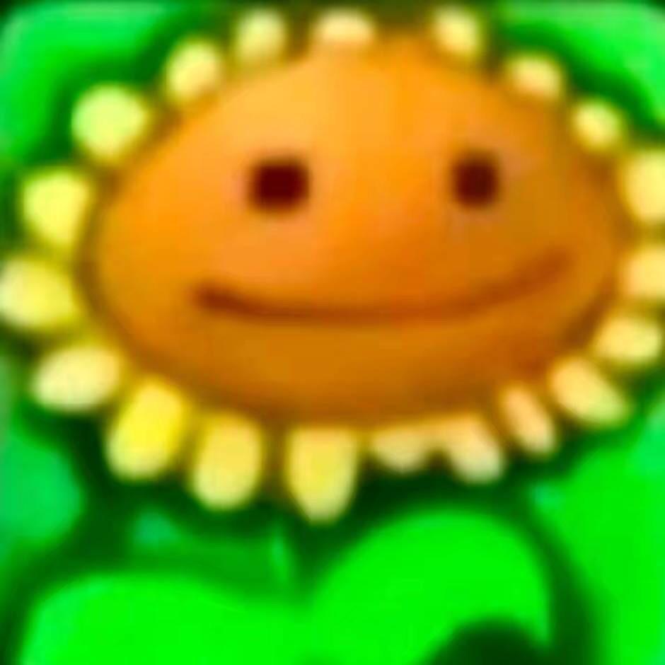 iAoooo