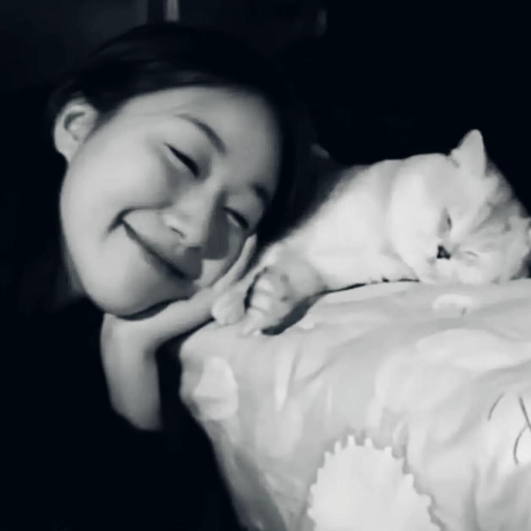 ㅤ  ㅤㅤ  ㅤㅤ