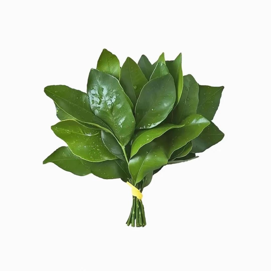 人丑心恶嘴不甜