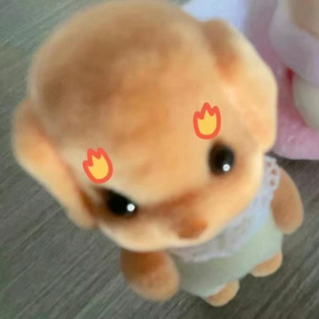爱吃溏心蛋