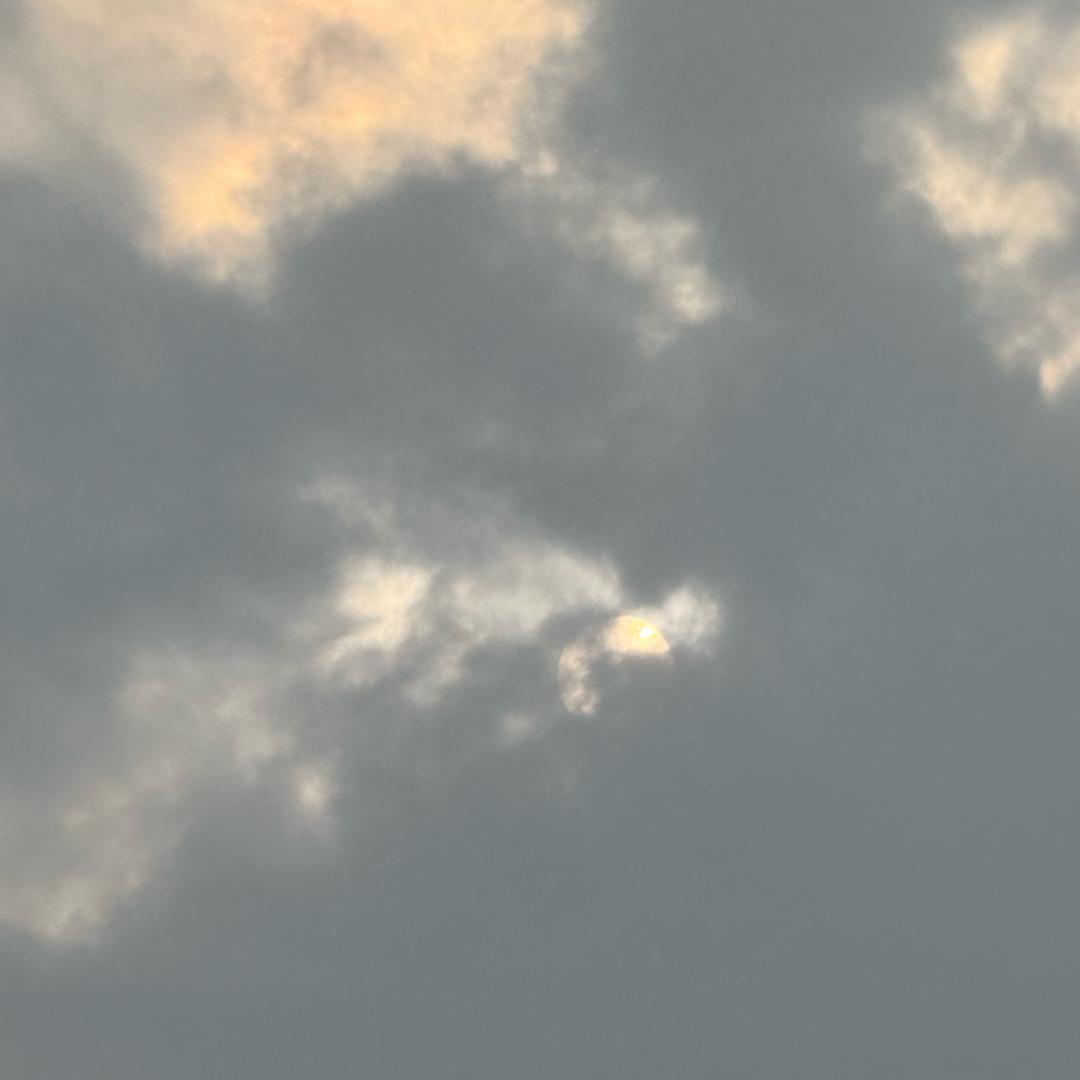 ./