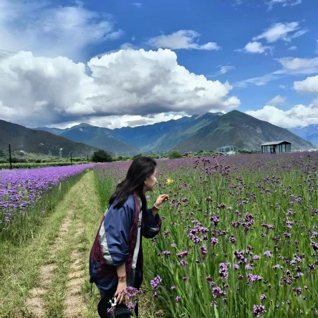 嘻嘻👭好物推荐📦