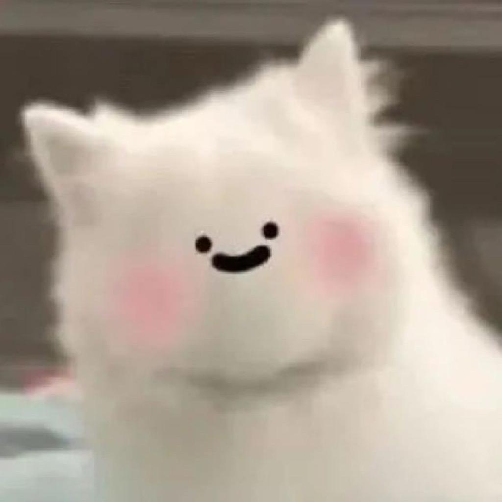 z29