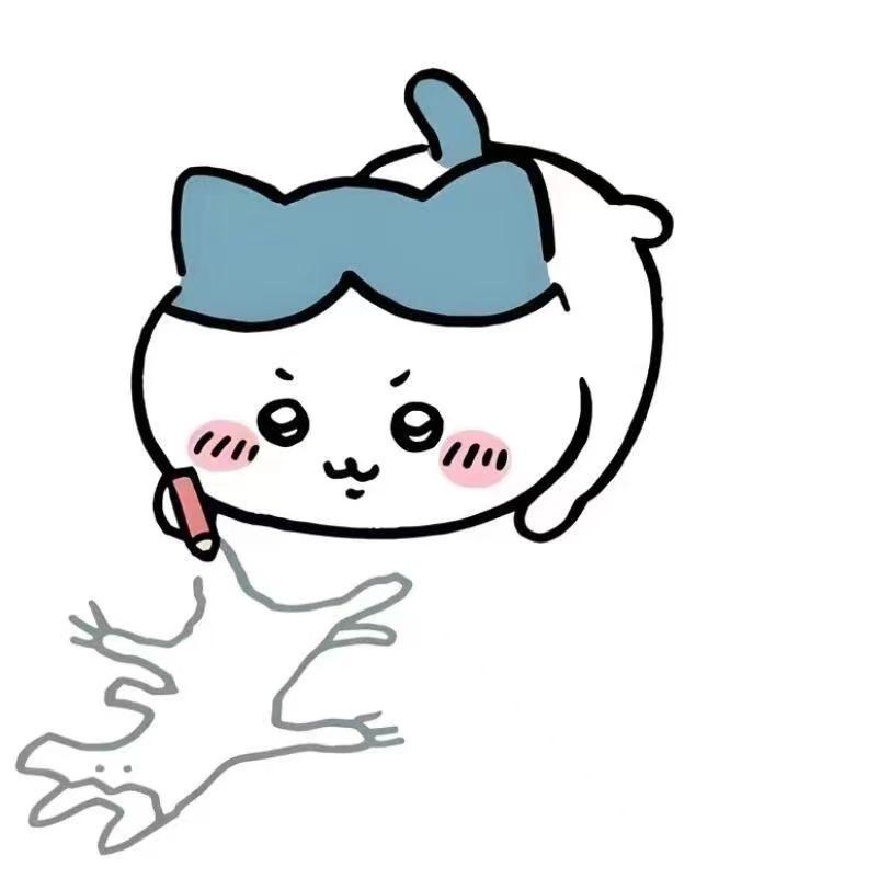 小芯