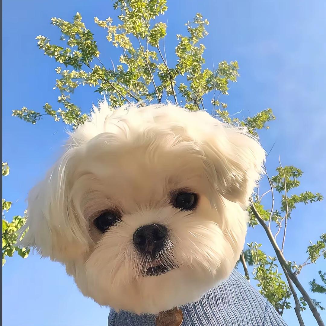 那一秒