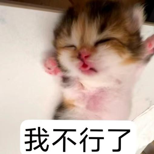 魚老师