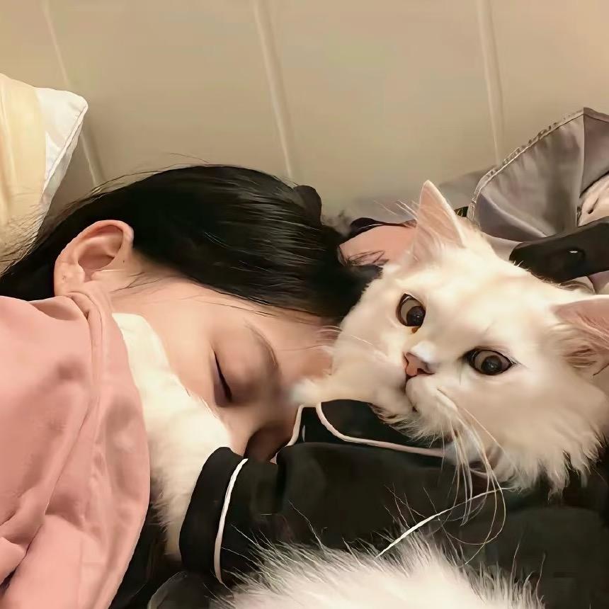 失眠夜💤