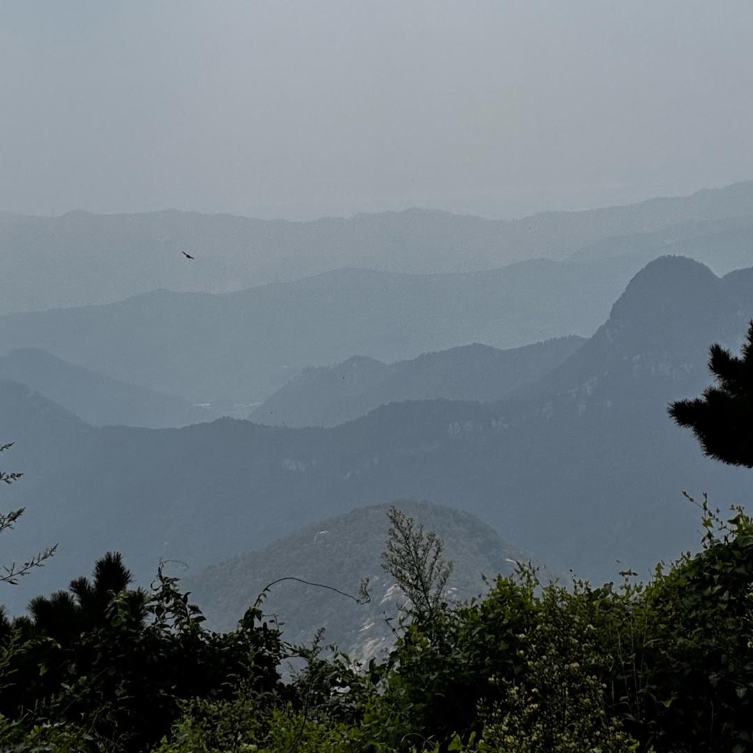 隋大妞（新人首播）