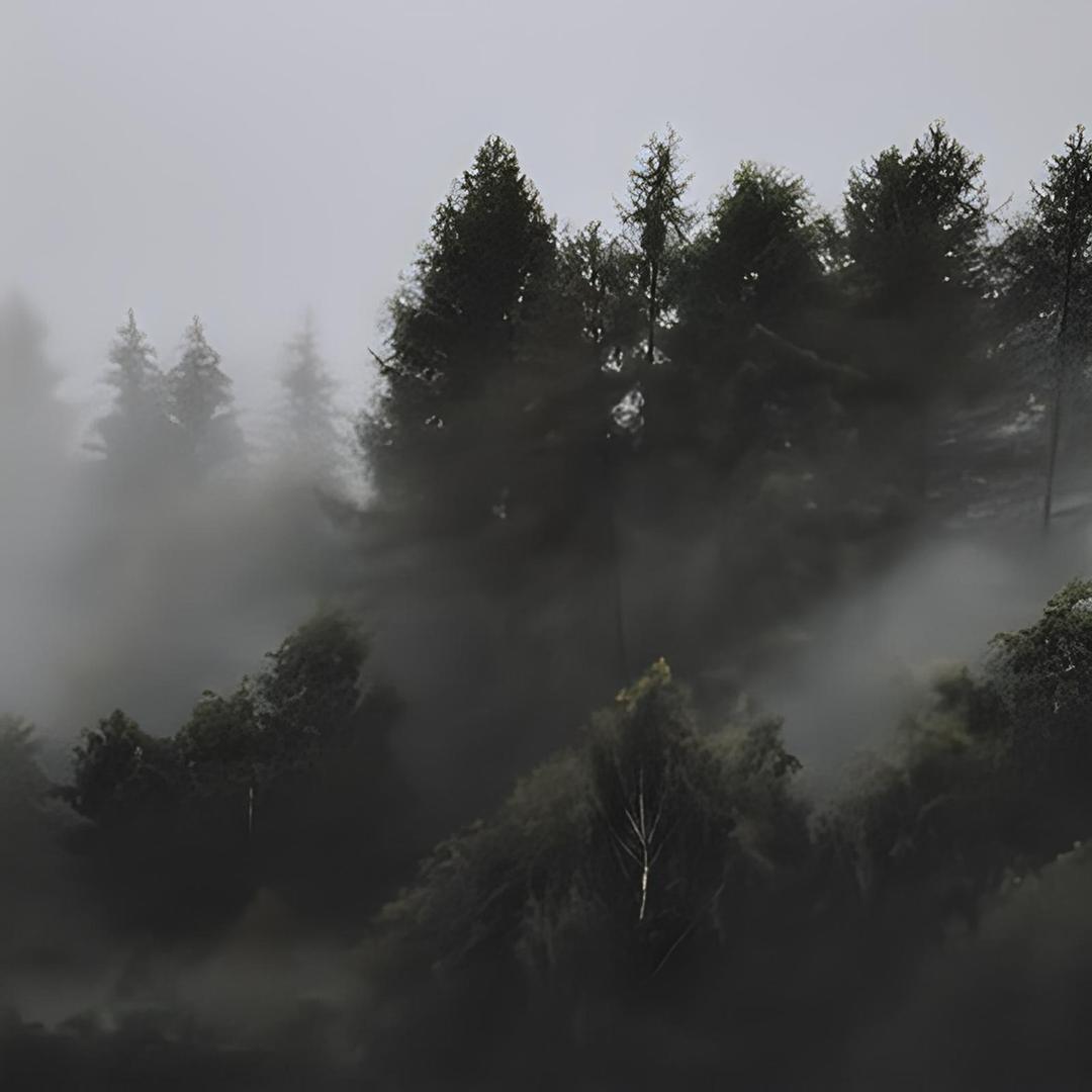 野山雾