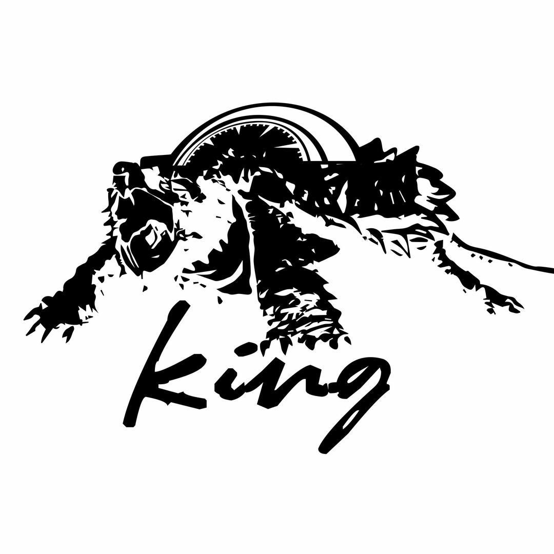 King🐢