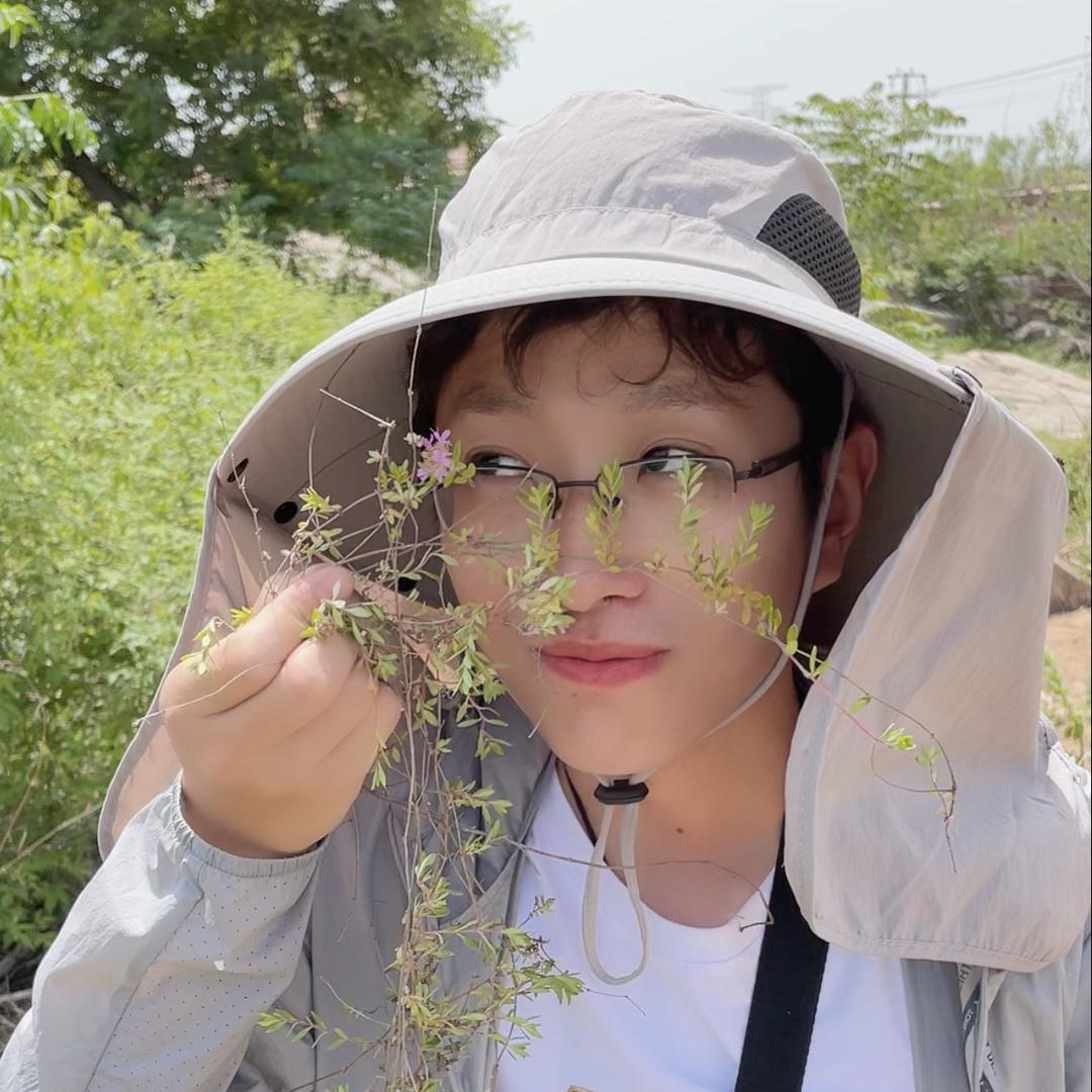 海龙讲百草