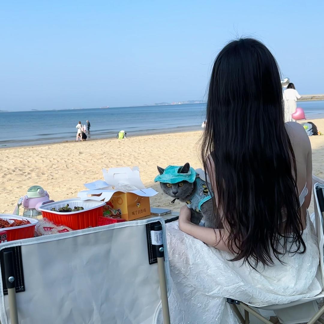 波罗不是菠萝