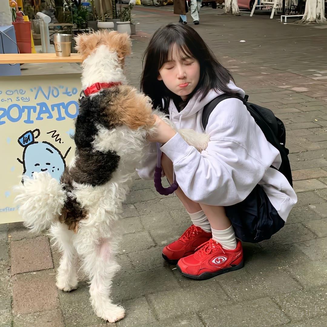 小羊0🐑