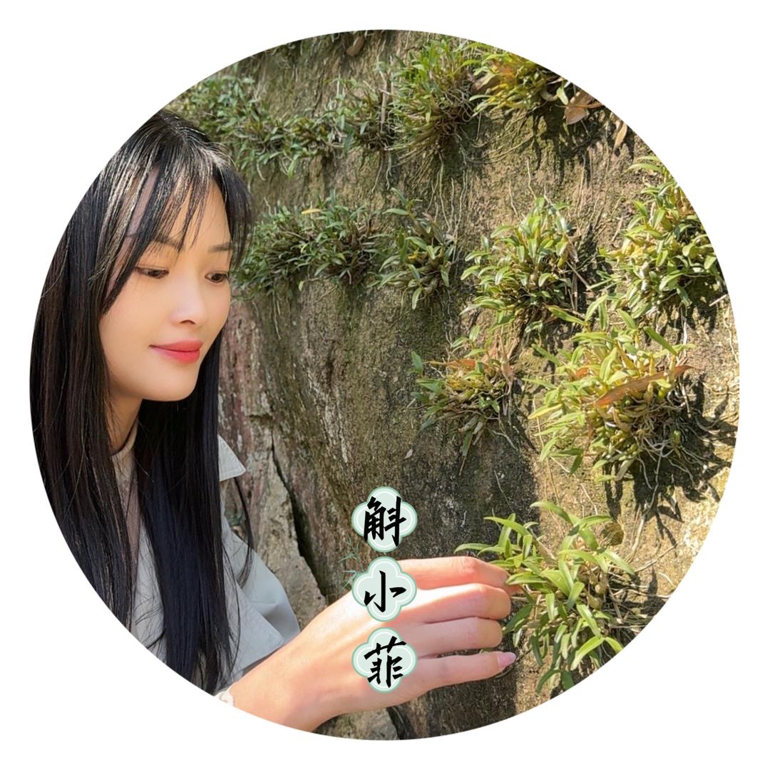 斛小菲（霍山）