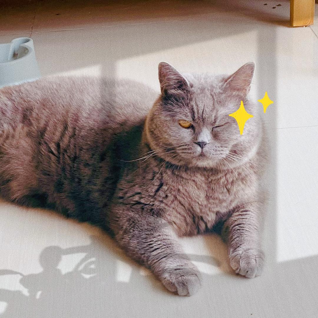 KK麻麻