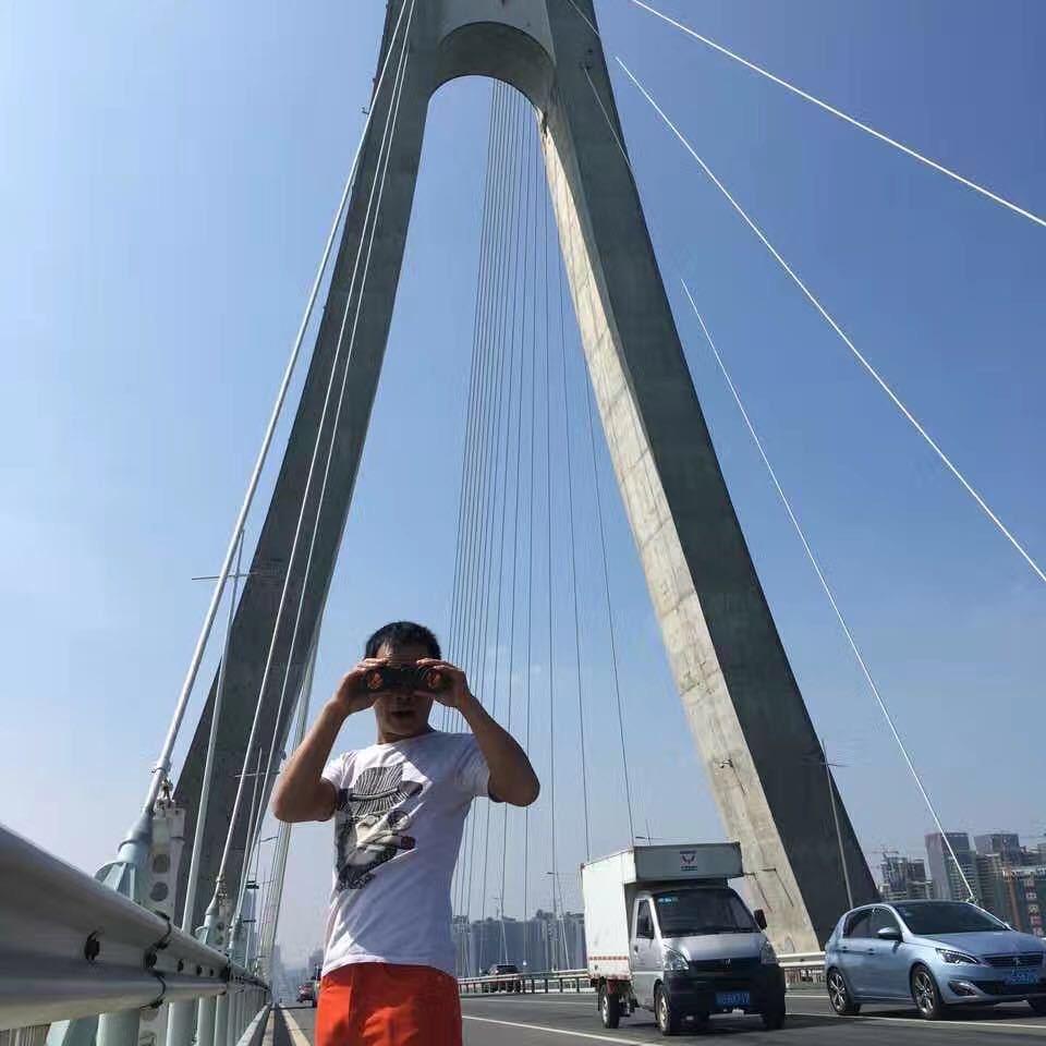 鸡心