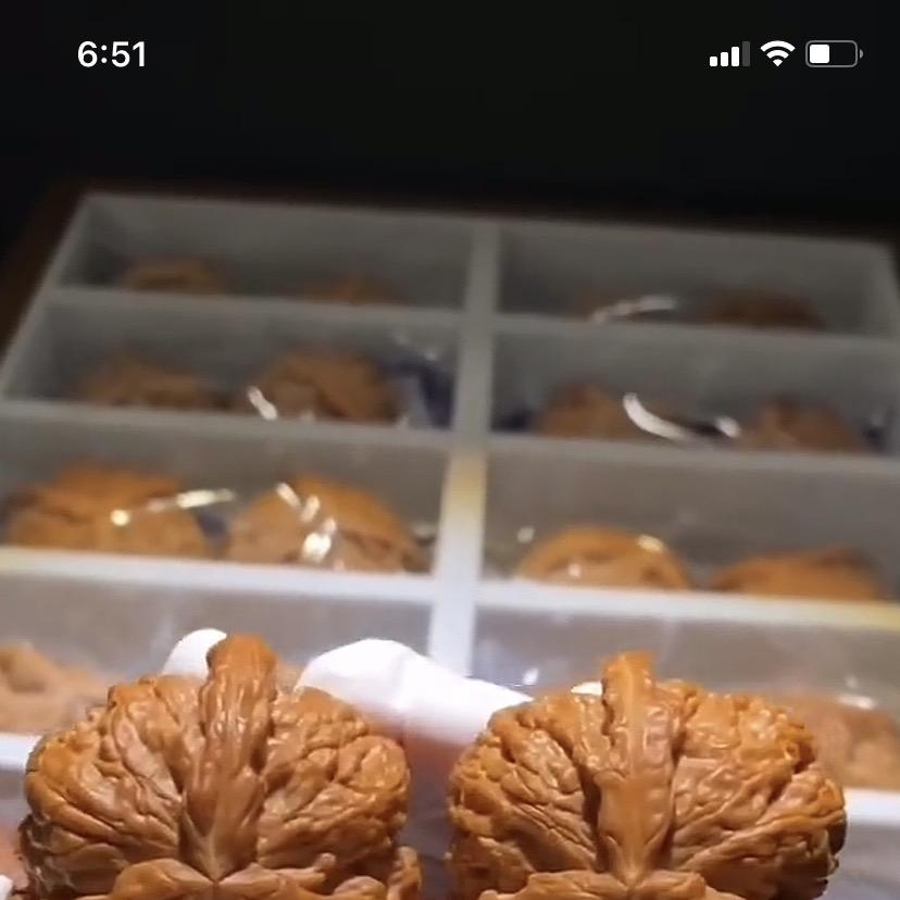 汇顾核堂【核桃】