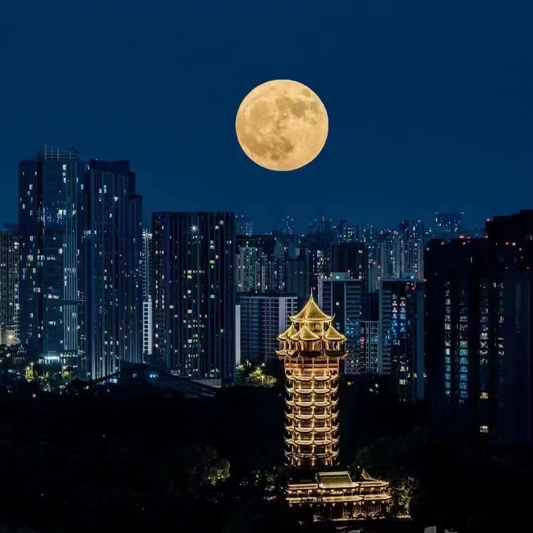 三哥在线