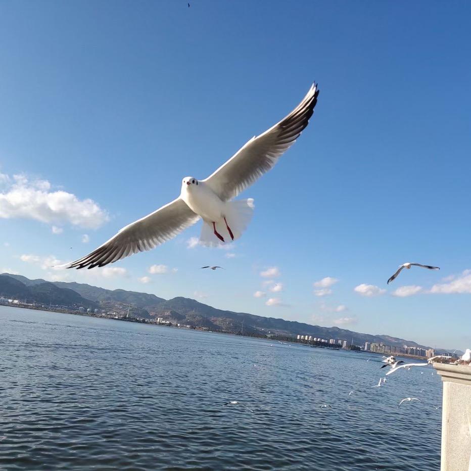 独来独往
