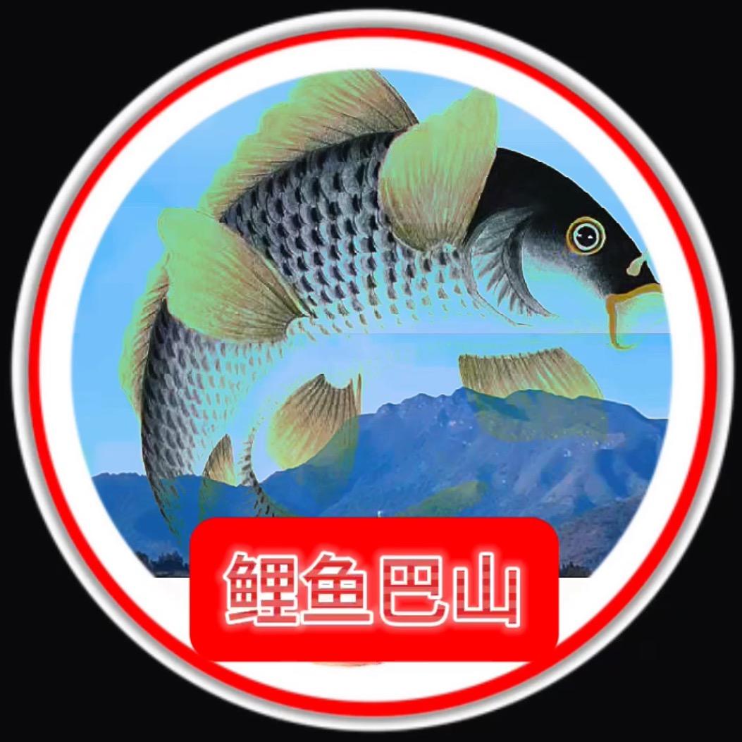 鲤鱼巴山