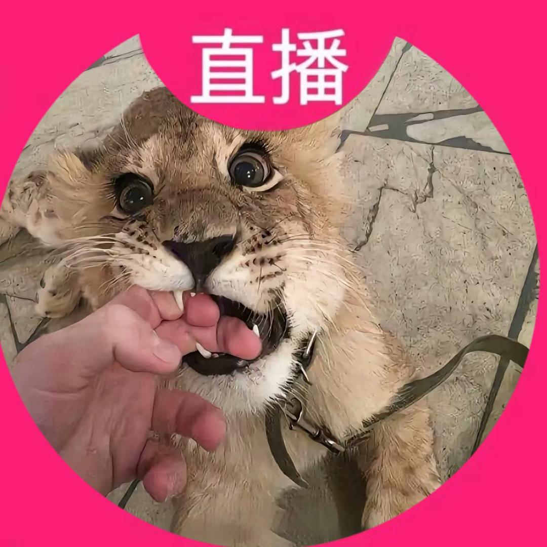 特涩🐑
