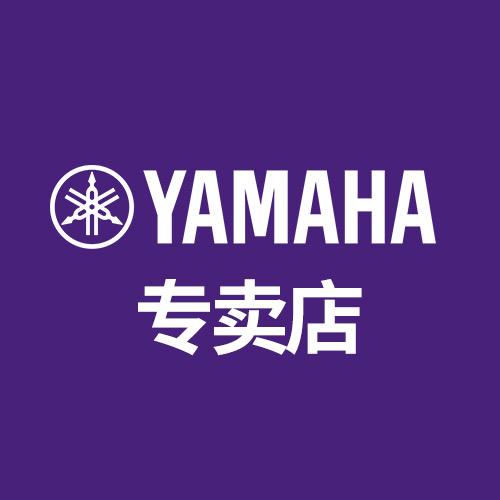 雅马哈超音乐器专卖店