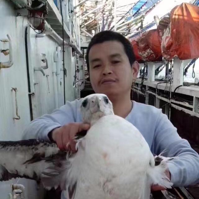 贵州江鸽船务有限公司.