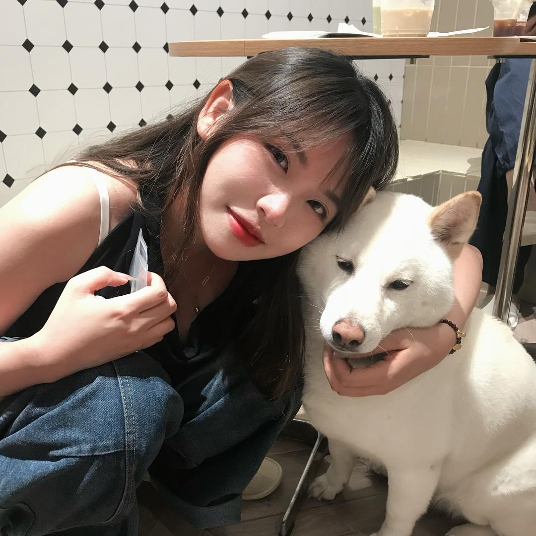 番茄酱困了