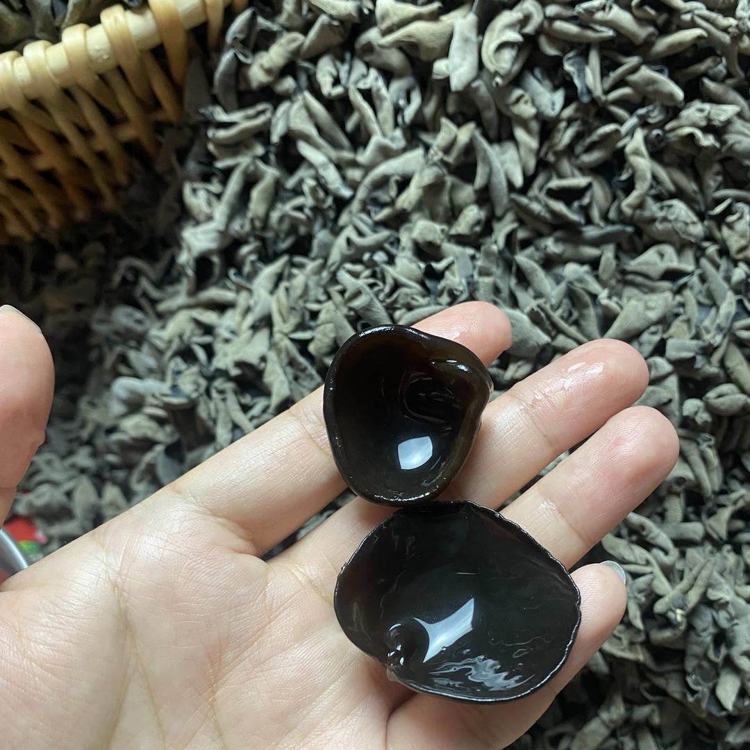 小六圆滚滚