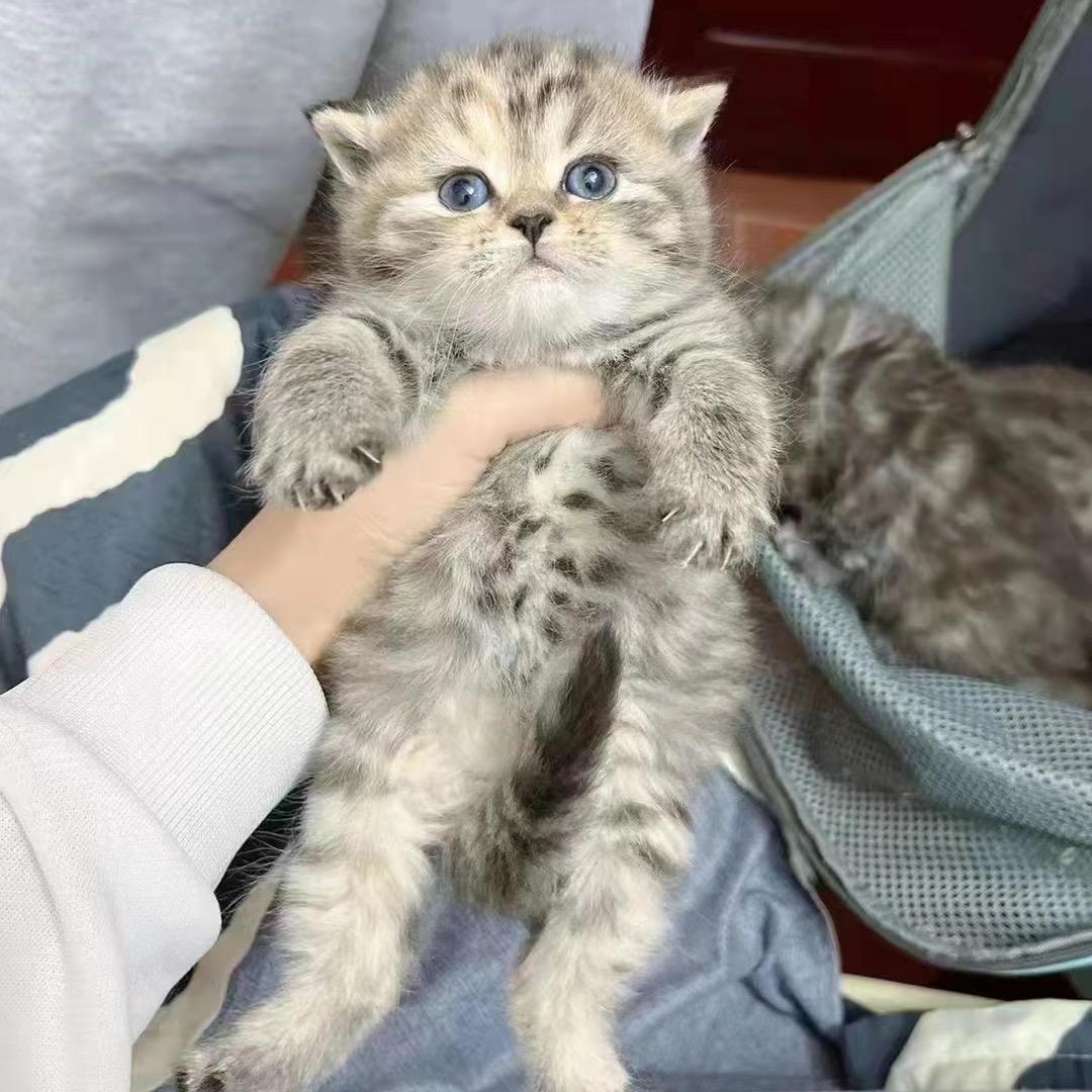悟_