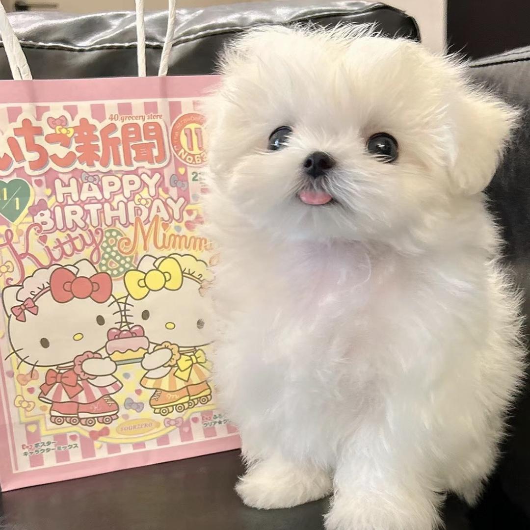 坂口小渡