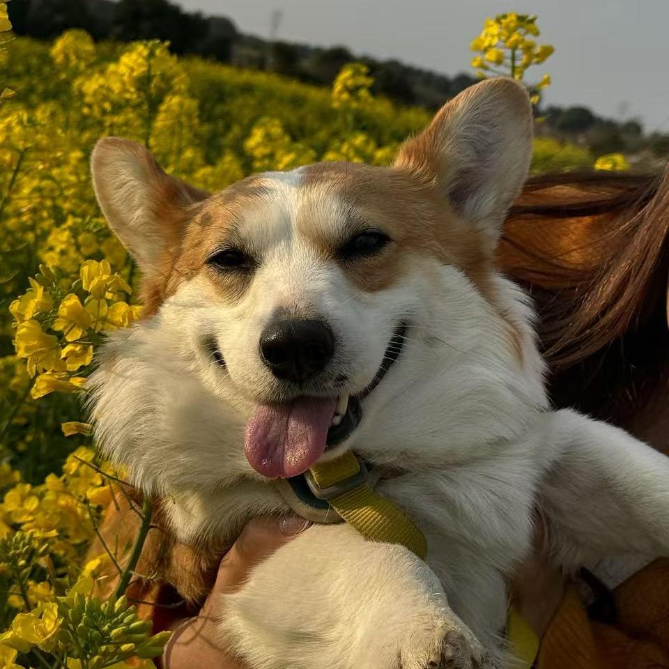 Edison