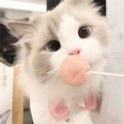 果沐优选好物
