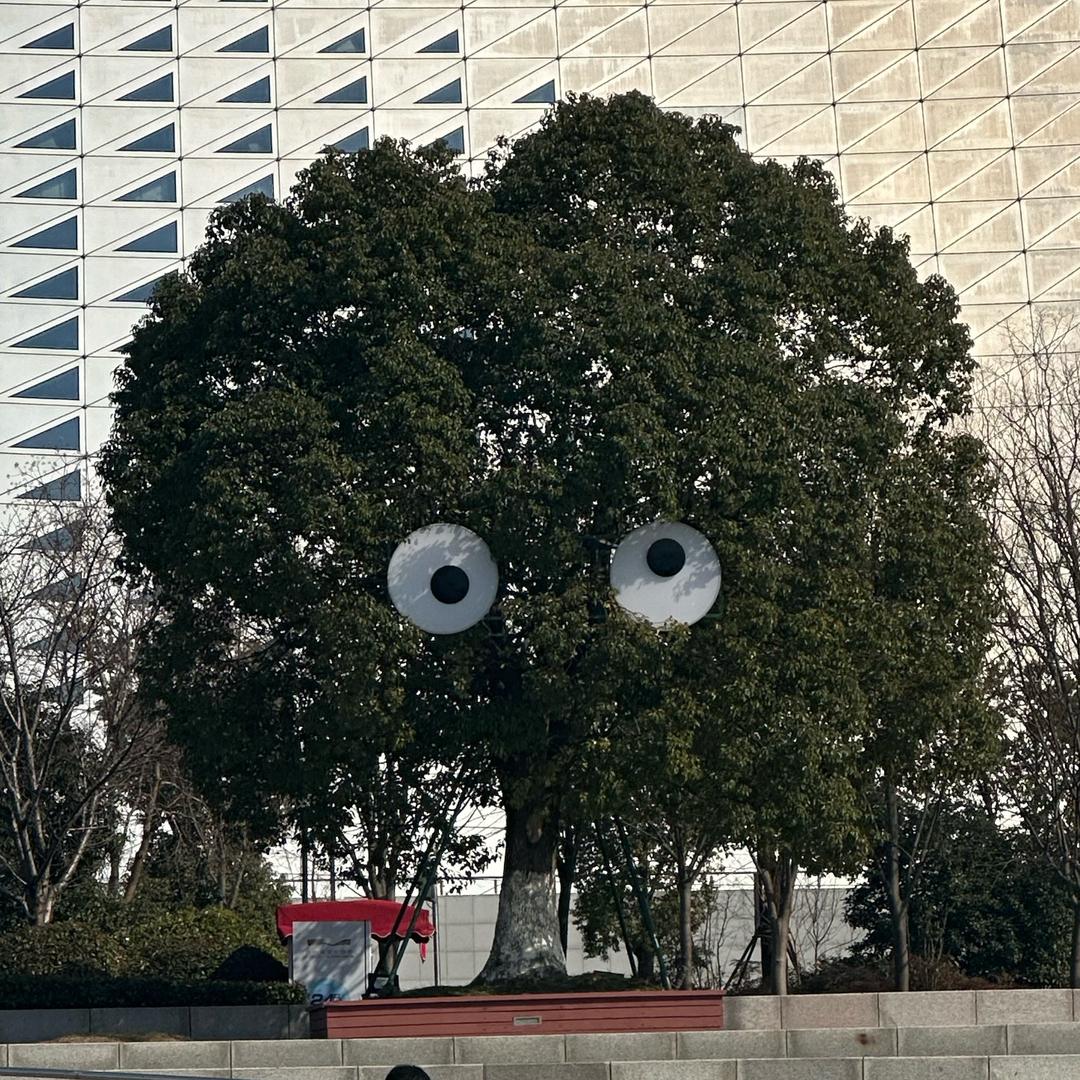 皮实蛋
