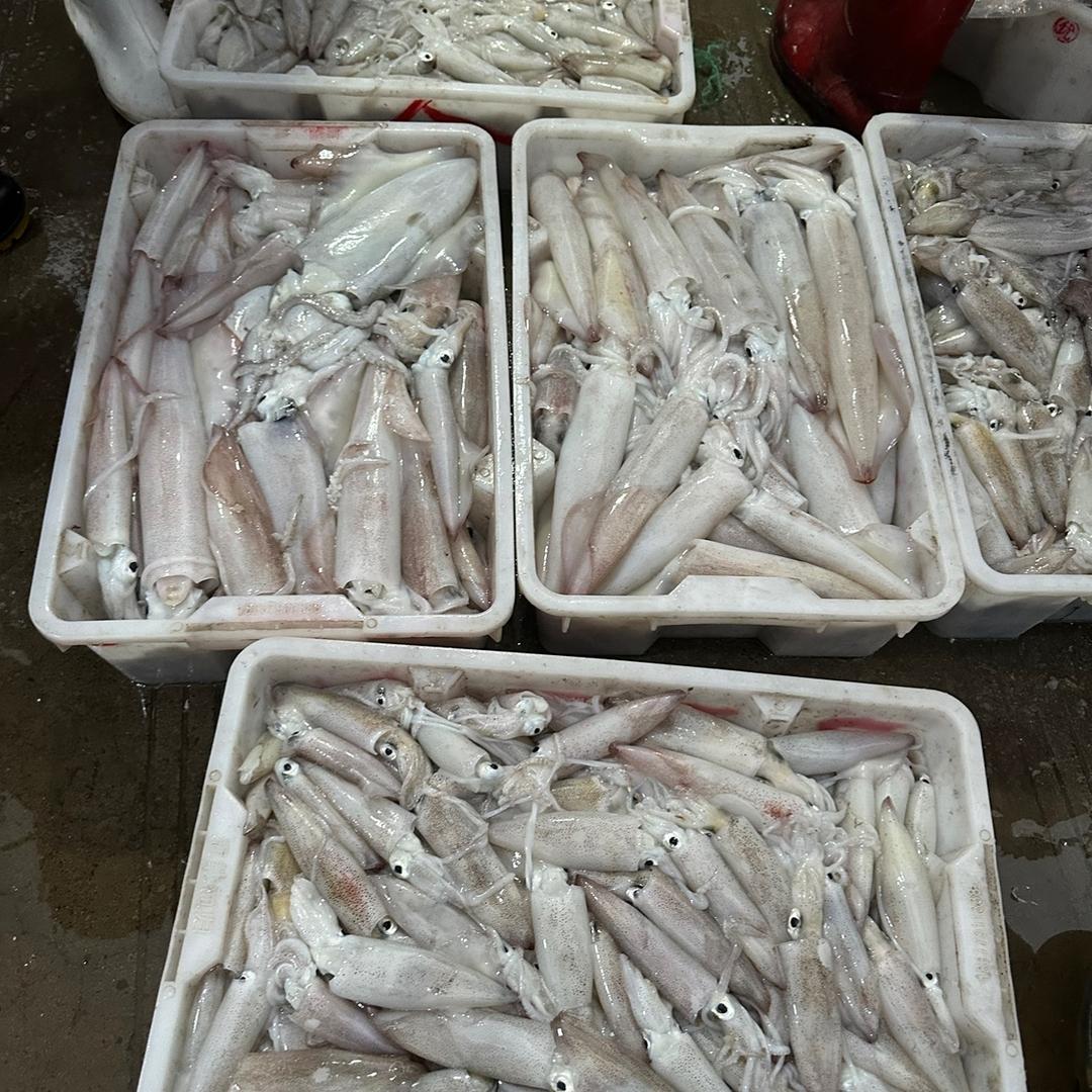 小爱甜，小可爱@抖音